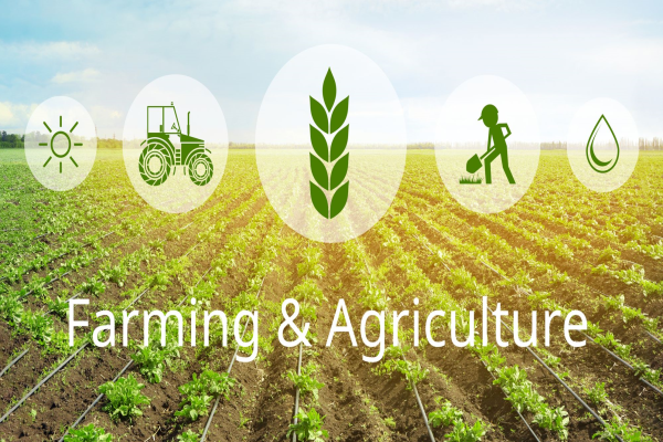 Agriculture & Farming